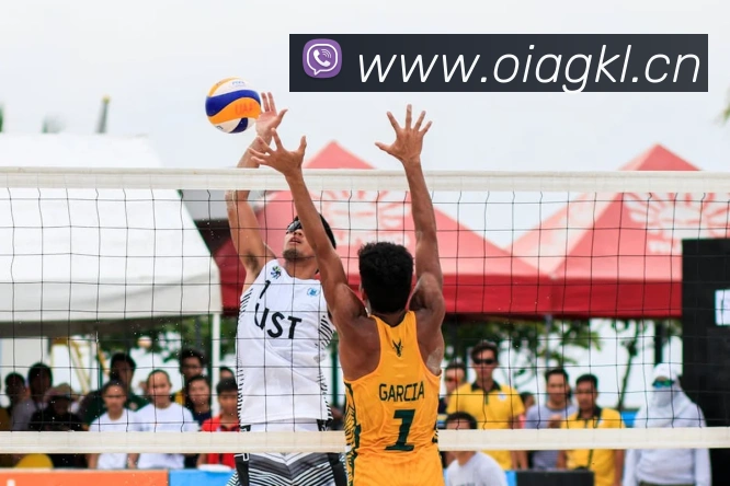 开云手机在线官网登录服务体系